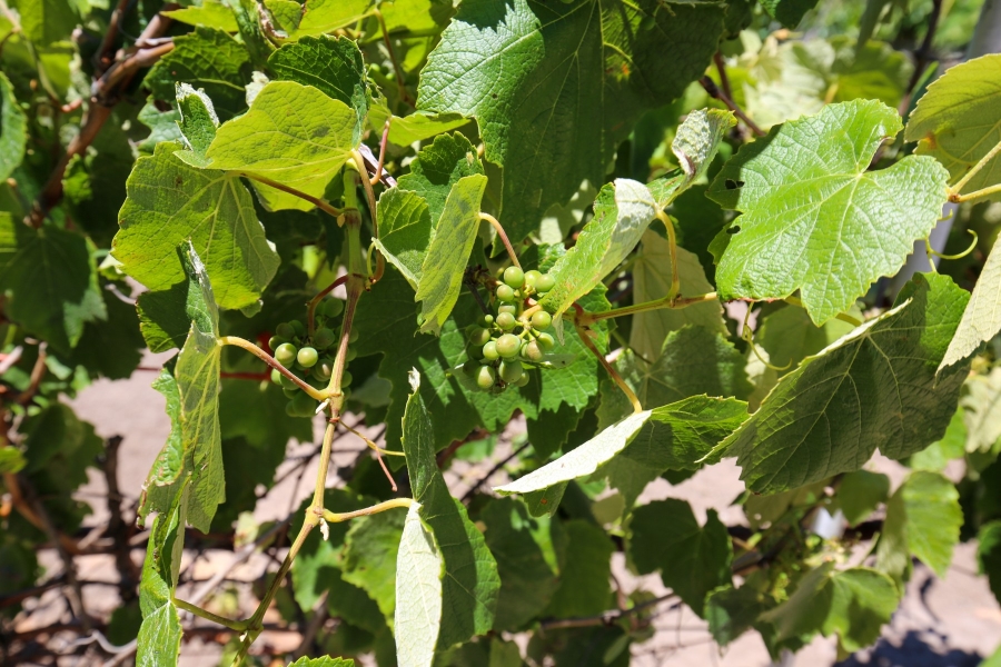 3 Bedroom Property for Sale in Plettenberg Bay Rural Western Cape